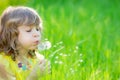 Happy child blowing dandelion flower outdoors Royalty Free Stock Photo