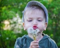 Happy child blowing dandelion making a wish outdoors in spring park. Royalty Free Stock Photo