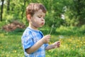 Happy child blowing dandelion outdoors in par. Summer outdoor Royalty Free Stock Photo