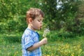 Happy child blowing dandelion outdoors in par. Summer outdoor Royalty Free Stock Photo