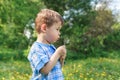 Happy child blowing dandelion outdoors in par. Summer outdoor Royalty Free Stock Photo