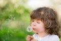 Happy child blowing dandelion