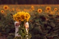 Happy child with bouquet of beautiful sunflowers in summer sunflower field on sunset. Mother day Royalty Free Stock Photo