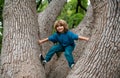 Happy child boy climbing a tree. Childhood youth growth.