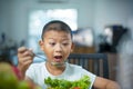 Happy child boy eating vegetables at home. Royalty Free Stock Photo