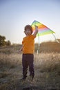 Happy child boy play with a kite running on summer meadow Royalty Free Stock Photo