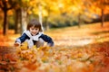Happy child, boy, playing in the park, throwing leaves, playing Royalty Free Stock Photo