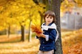 Happy child, boy, playing in the park, throwing leaves, playing Royalty Free Stock Photo