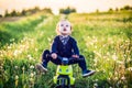 Happy child boy in a summer dandelion field riding