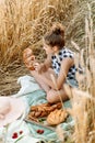 Happy child with bread in yellow autumn wheat field. A field with mature ears.girl sits on a bedspread, fresh fruits and berries, Royalty Free Stock Photo