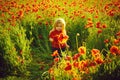 Happy child. cute little boy on poppy field in hot summers Royalty Free Stock Photo