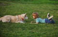 Happy child and dog on grass. Cute boy child with dog relaxing on park. Fun games with pet on summer vacation. Husky dog Royalty Free Stock Photo