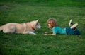 Happy child and dog on grass. Cute boy child with dog relaxing on park. Fun games with pet on summer vacation. Husky dog Royalty Free Stock Photo