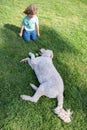 Happy child with dog lying on the grass. Portrait kids boy with pet playing outside. Carefree childhood. Royalty Free Stock Photo