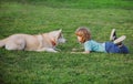 Happy child with dog. Portrait kids boy with pet playing outside. Fun games with pet on summer vacation. Husky dog and