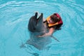 Happy child and dolphins in blue water. Dolphin Assisted Therapy Royalty Free Stock Photo