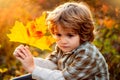 Happy child dreaming in autumn park. Cute boy with maple leaves outdoors. Toddler wears Autumn. Autumn child dream. Fall