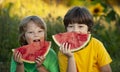 Happy child eating watermelon in garden. Two boys with fruit in park Royalty Free Stock Photo