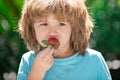 Happy child eats strawberries in the summer outdoor on green spring background. Close up kids happy face. Royalty Free Stock Photo