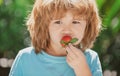 Happy child eats strawberries in the summer outdoor on green spring background. Close up kids happy face. Royalty Free Stock Photo