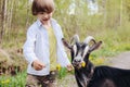 Happy child feeds a goat grass in the pasture. Goat eats flowers from the hands of a farmer boy. Kid and goatling. Concept of goat