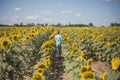 Happy child field Freedom and happiness concept on sunflower outdoor. Kid having fun in green spring field against blue sky Royalty Free Stock Photo