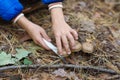 Happy child gathers mushrooms in the autumn forest Royalty Free Stock Photo