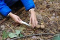 Happy child gathers mushrooms in the autumn forest Royalty Free Stock Photo