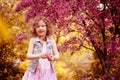 Happy child girl at blooming cherry tree in spring garden Royalty Free Stock Photo