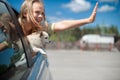 Happy child girl and dog chihuahua looking out the open car window Royalty Free Stock Photo