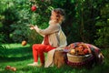 Happy child girl harvesting apples in autumn garden.