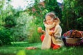 Happy child girl harvesting apples in autumn garden.