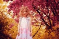 Happy child girl in pink dress playing outdoor in spring garden near blooming crabapple tree Royalty Free Stock Photo