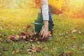 Happy child girl playing little gardener in autumn and picking leaves into basket