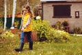 Happy child girl playing little gardener in autumn and picking leaves into basket