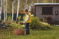 Happy child girl playing little gardener in autumn and picking leaves into basket. Seasonal garden work