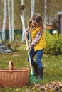 Happy child girl playing little gardener in autumn and picking leaves into basket. Seasonal garden work