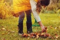 Happy child girl playing little gardener in autumn and picking leaves into basket. Seasonal garden work. Royalty Free Stock Photo