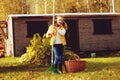 Happy child girl playing little gardener in autumn and picking leaves into basket. Seasonal garden work. Royalty Free Stock Photo