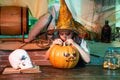 Happy child with Halloween pumpkin. Happy Halloween Cute little boy making funny faces with a pumpkin. Kid smiling on a Royalty Free Stock Photo