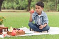 Happy child has a picnic in summer park, cute smiling Asian boy holding an apple while sitting on mat on green grass. Little child Royalty Free Stock Photo