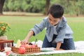 Happy child has a picnic in summer park, cute smiling Asian boy picking apple from fruit basket while sitting on mat on green Royalty Free Stock Photo