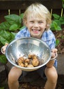 Happy child holding bowl of organic potatoes