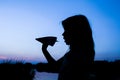 Happy child holding flightnumber silhouette on nature in the park sunset