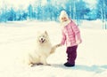 Happy child holding paw white Samoyed dog on snow in winter Royalty Free Stock Photo