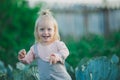Happy Child Laugh In Cabbage Garden Summertime Royalty Free Stock Photo