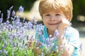 Happy child in lavender bushes. Summer holidays. Fresh lavender. A child in nature. Rest grass. Beautiful fresh summer