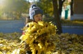 A happy child outdoors has collected a bouquet of autumn yellow leaves