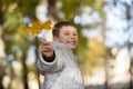 Happy child in the park outdoors, scatters leaves Royalty Free Stock Photo