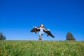 Happy child playing outside on green grass and blue sky. Kid pilot with toy jetpack. Kid boy play with toy plane Royalty Free Stock Photo